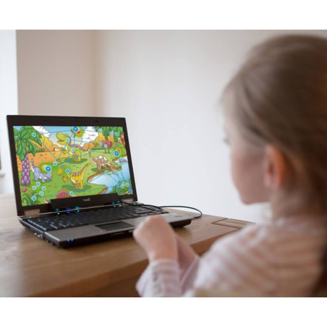 Tobii Dynavox Gaze Viewer
