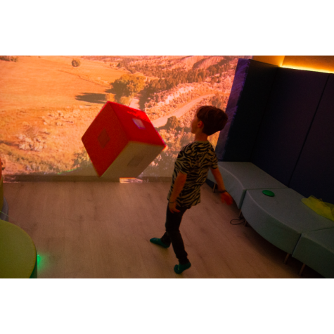 Sensory Cube pequeño
