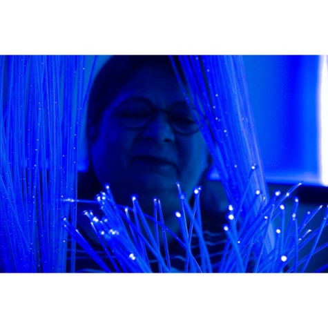 Fibra óptica Luminea 2m