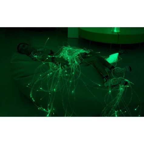Fibra óptica Luminea 2m