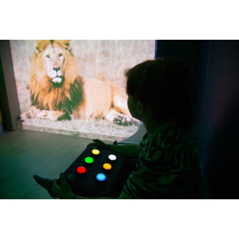 Sensory Go SHX