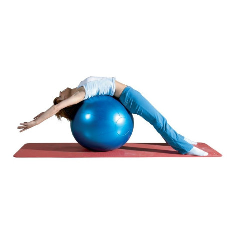 Pelota de 65cm diámetro