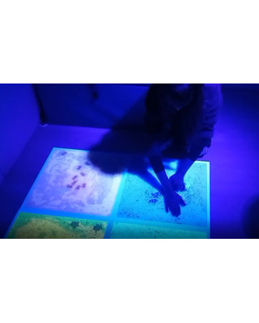 Suelo sensorial gel ultravioleta