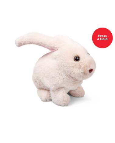 Robbie Rabbit