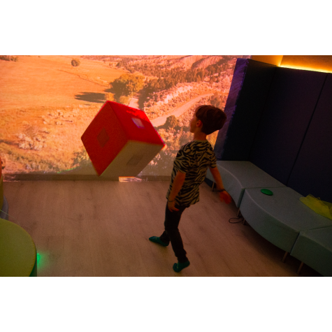 Sensory Cube grande