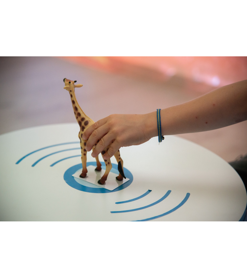 Magic Table Qinera – Mesa interactiva multisensorial | Qinera