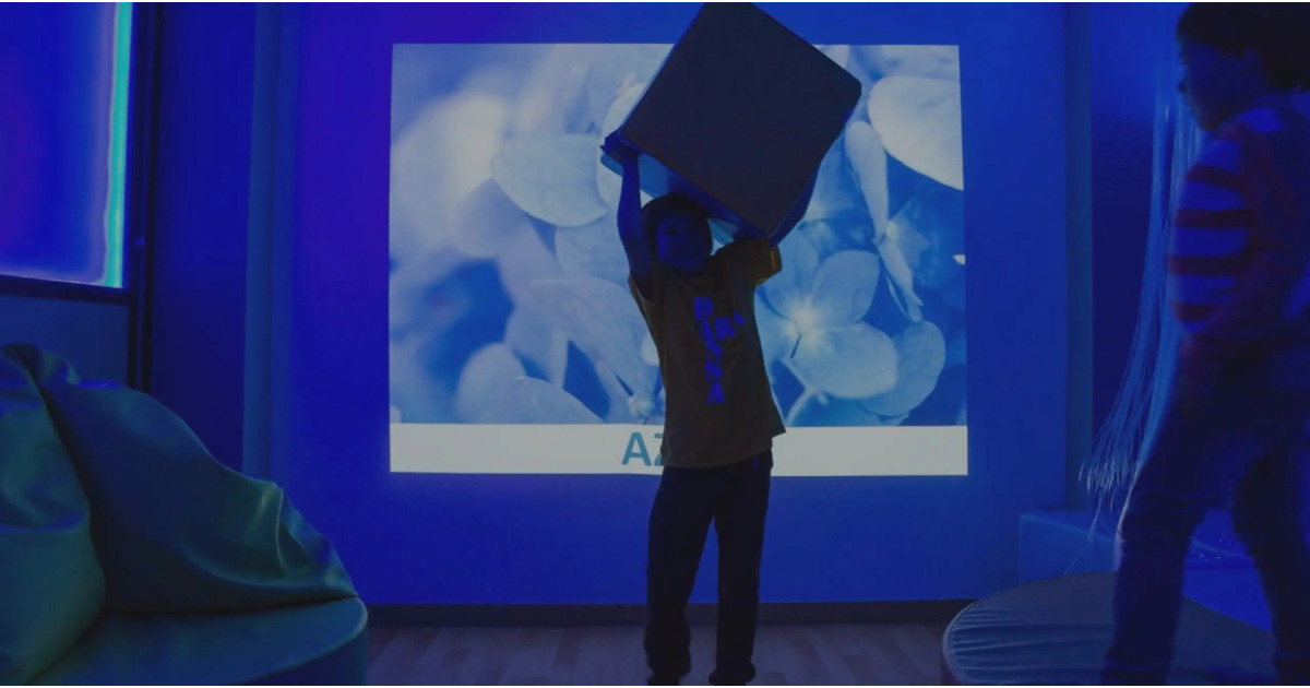 Integración Sensorial y Psicomotricidad