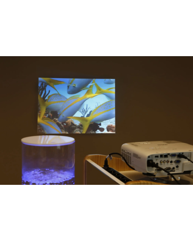 Sensory Go Luminea Plus