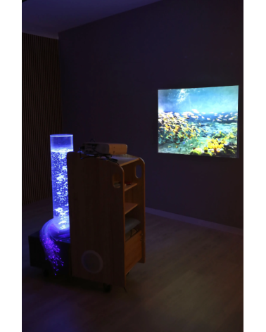 Sensory Go SHX