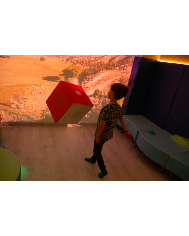 Sensory Cube grande